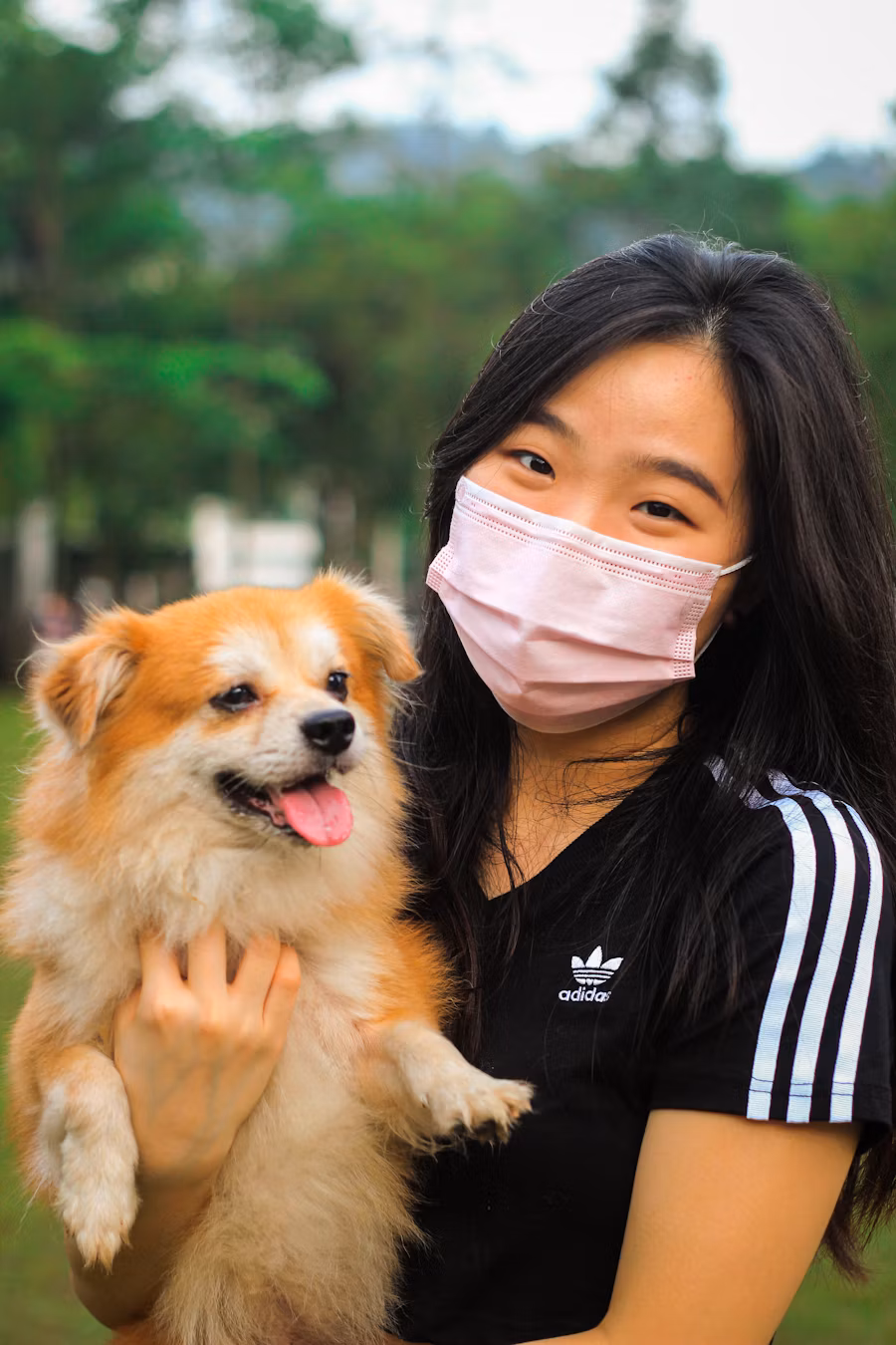 Dog behaviorist rehoming advice