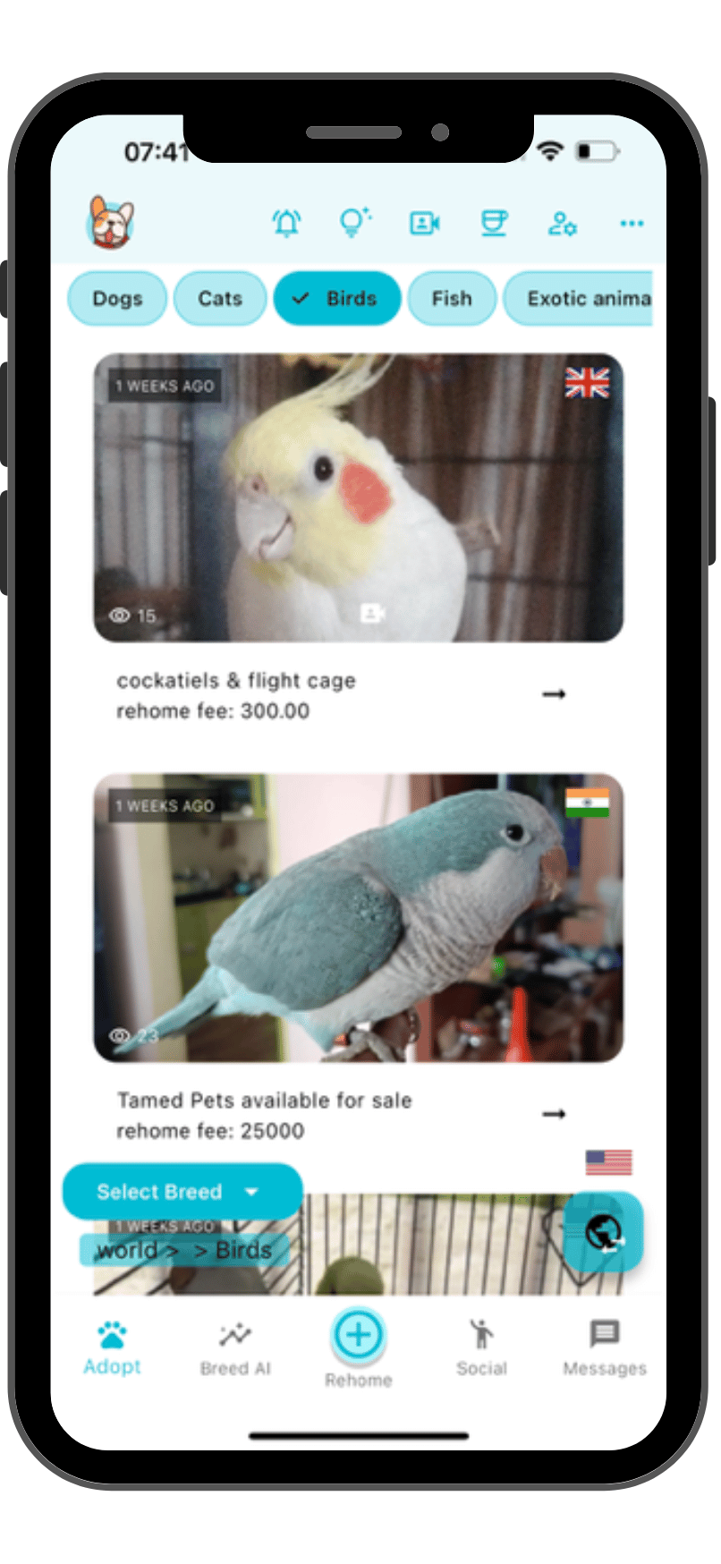 Best app to adopt birds screenshot